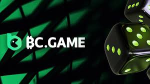 Understanding the Terms & Conditions of BC.Game A Complete Guide